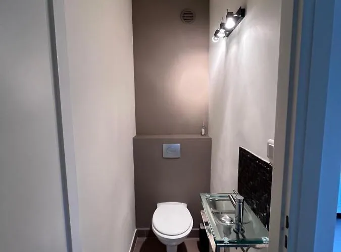 Climatisé Avec Terrasse, Vue Jardin Et Piscine